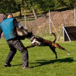 20111001-DSC02505
