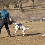 20120303-DSC00003