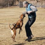 20120303-DSC00015