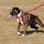 20120303-DSC00019