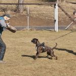 20120303-DSC00021