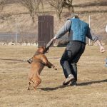 20120303-DSC00033