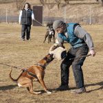 20120303-DSC00036