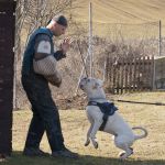 20120303-DSC00044