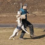20120303-DSC00055