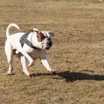 20120303-DSC00068