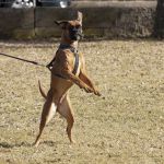 20120303-DSC00072