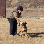 20120303-DSC00074