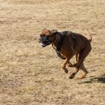 20120303-DSC00080