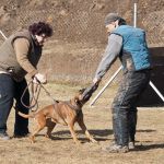20120303-DSC00088
