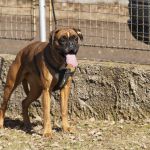 20120303-DSC00112