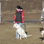 20120303- DSC0541