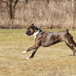 20120303- DSC0575
