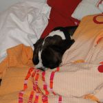 DSC02836
