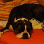 DSC03016