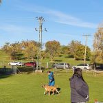 IMG-20211110-WA0005