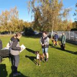 IMG-20211110-WA0010