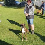 IMG-20211110-WA0012