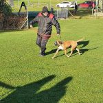 IMG-20211110-WA0027
