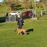 IMG-20211110-WA0030