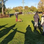 IMG-20211110-WA0031