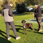 IMG-20211110-WA0036