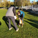 IMG-20211110-WA0042