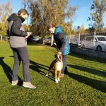 IMG-20211110-WA0043