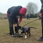 IMG-20220305-WA0017