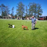 IMG 20190601 100812