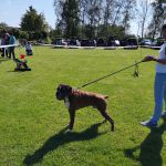 IMG 20190601 101141