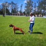 IMG 20190601 114452