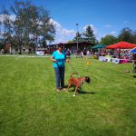 IMG 20190601 115936