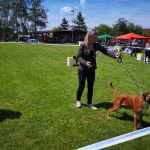 IMG 20190601 134946