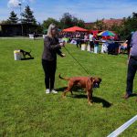 IMG 20190601 135006