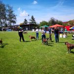 IMG 20190601 135625