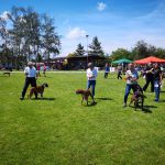 IMG 20190601 135700