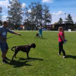 IMG 20190601 140202