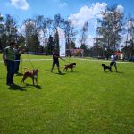 IMG 20190601 140403