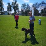 IMG 20190601 140944