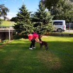IMG 20200905 093646