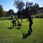IMG 20200905 102515