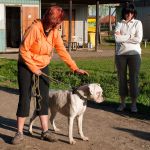 Vytrvalostni zkouska 120428073521