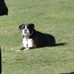 dsc00125
