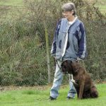 dsc00242