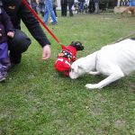 dsc00406