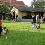 dsc07019