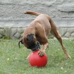 dsc07438