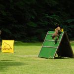 dscn0587
