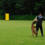 dscn0606